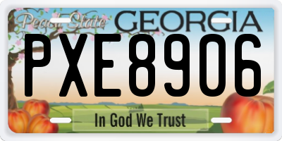 GA license plate PXE8906