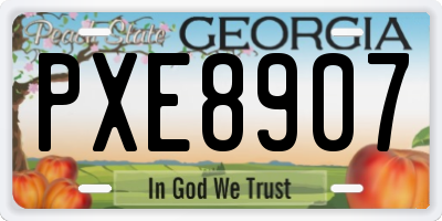 GA license plate PXE8907