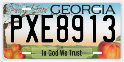 GA license plate PXE8913