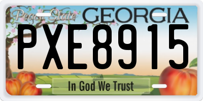 GA license plate PXE8915