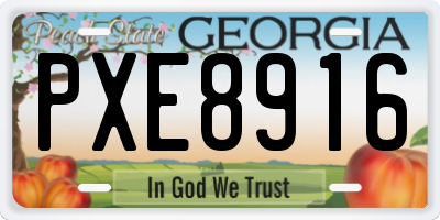 GA license plate PXE8916