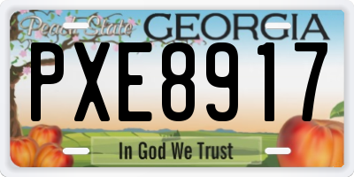 GA license plate PXE8917