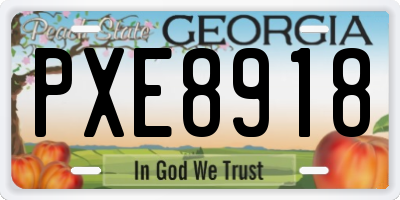 GA license plate PXE8918