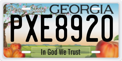 GA license plate PXE8920