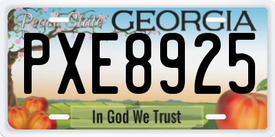 GA license plate PXE8925