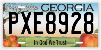 GA license plate PXE8928