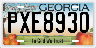 GA license plate PXE8930