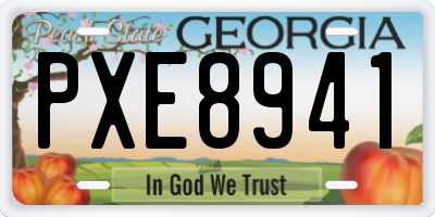 GA license plate PXE8941
