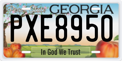 GA license plate PXE8950