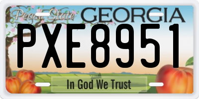 GA license plate PXE8951
