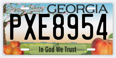 GA license plate PXE8954