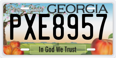 GA license plate PXE8957