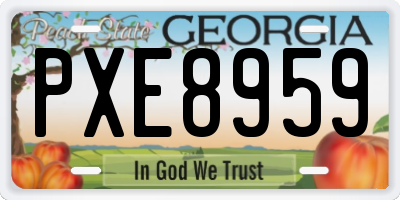 GA license plate PXE8959