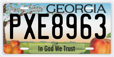 GA license plate PXE8963