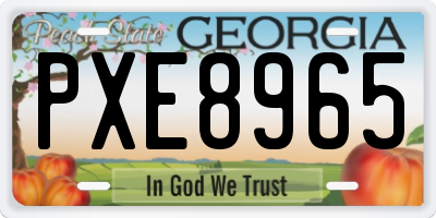 GA license plate PXE8965