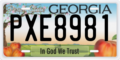 GA license plate PXE8981