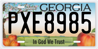 GA license plate PXE8985