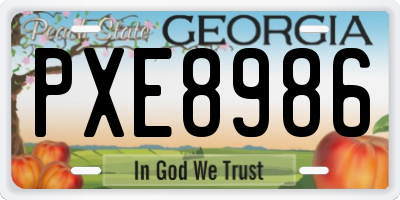 GA license plate PXE8986