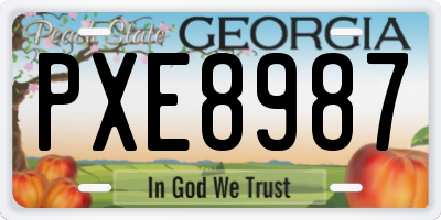 GA license plate PXE8987