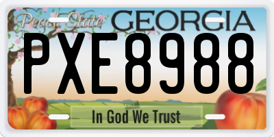 GA license plate PXE8988