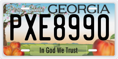 GA license plate PXE8990