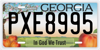 GA license plate PXE8995