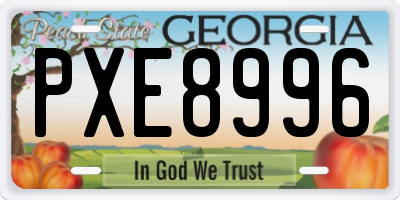 GA license plate PXE8996
