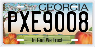 GA license plate PXE9008