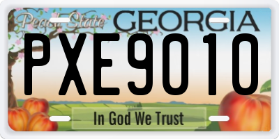 GA license plate PXE9010