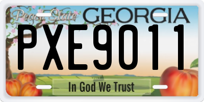 GA license plate PXE9011