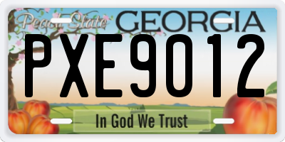 GA license plate PXE9012