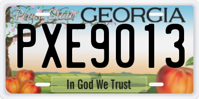 GA license plate PXE9013