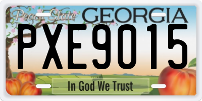 GA license plate PXE9015