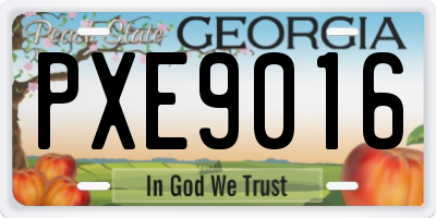 GA license plate PXE9016