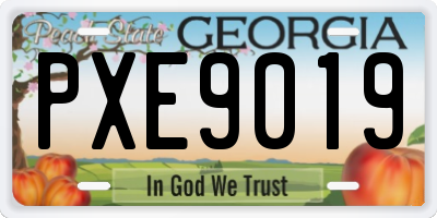 GA license plate PXE9019