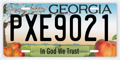 GA license plate PXE9021