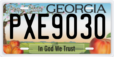 GA license plate PXE9030