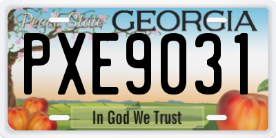 GA license plate PXE9031