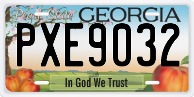 GA license plate PXE9032