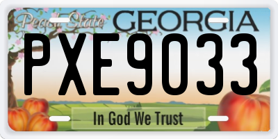 GA license plate PXE9033