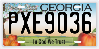GA license plate PXE9036