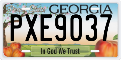GA license plate PXE9037
