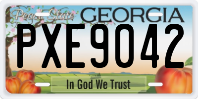 GA license plate PXE9042
