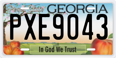 GA license plate PXE9043
