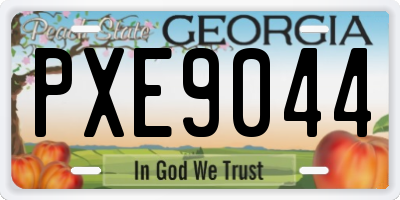 GA license plate PXE9044