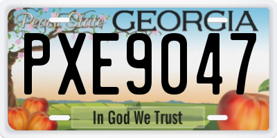GA license plate PXE9047