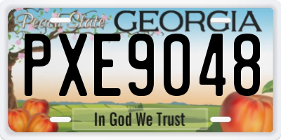 GA license plate PXE9048