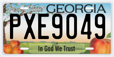 GA license plate PXE9049
