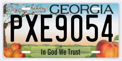 GA license plate PXE9054