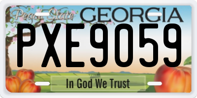 GA license plate PXE9059